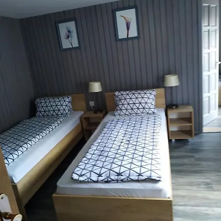 Ludwighaus Guest house *